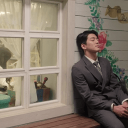 Special Laws of Romance